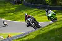 brands-hatch-photographs;brands-no-limits-trackday;cadwell-trackday-photographs;enduro-digital-images;event-digital-images;eventdigitalimages;no-limits-trackdays;peter-wileman-photography;racing-digital-images;trackday-digital-images;trackday-photos